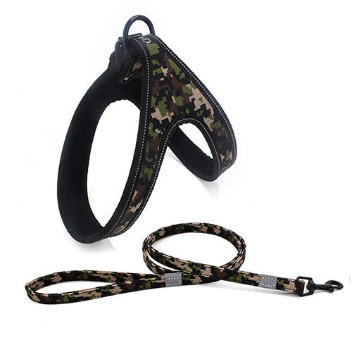 Fantastic Colorful Dog Leash Dog walking Rope - My Store