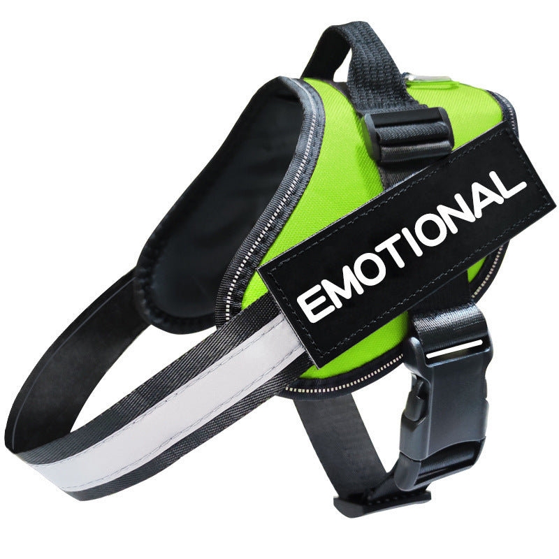 Reflective Dog Leash and Harness: Safety and Comfort Combined
