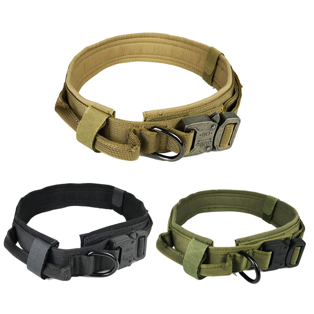 Dog collar with fantastic Design for Safety and Comfort - My Store