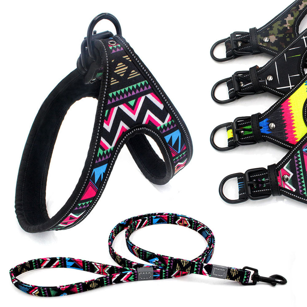 Fantastic Colorful Dog Leash Dog walking Rope - My Store