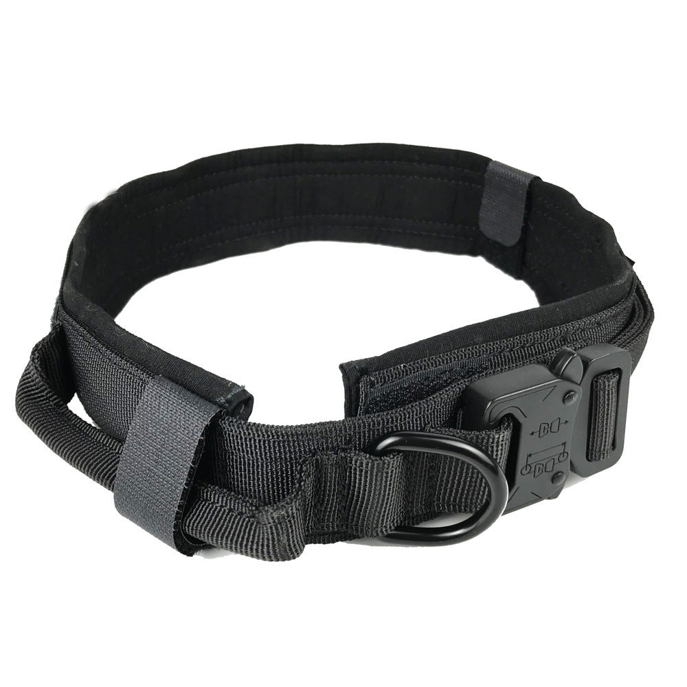 Dog collar with fantastic Design for Safety and Comfort - My Store