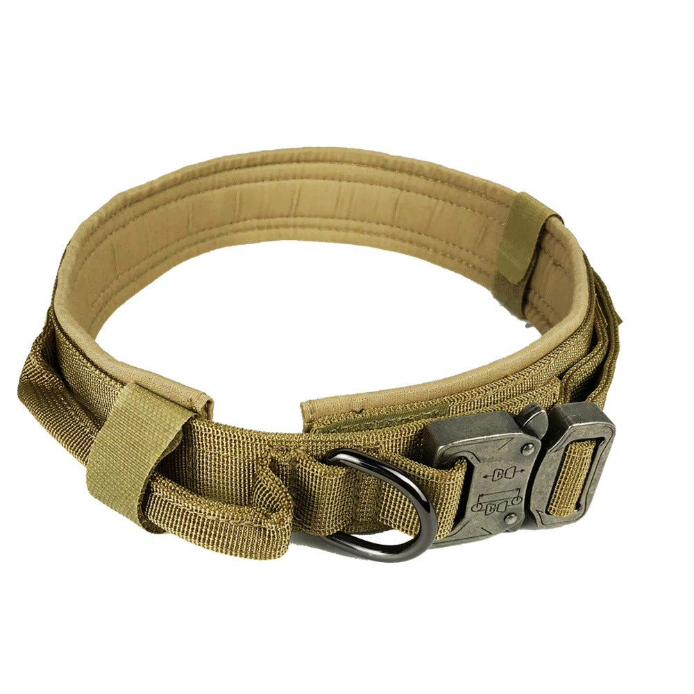 Dog collar with fantastic Design for Safety and Comfort - My Store