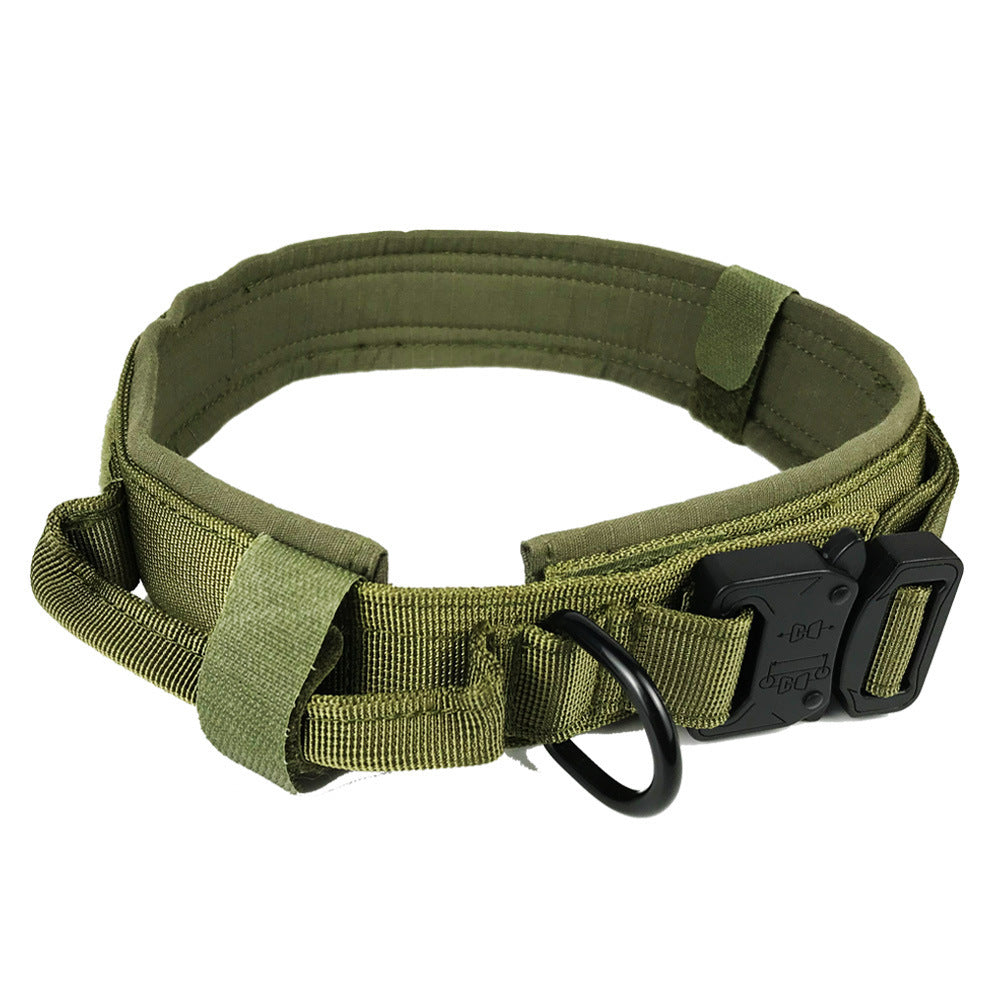 Dog collar with fantastic Design for Safety and Comfort - My Store