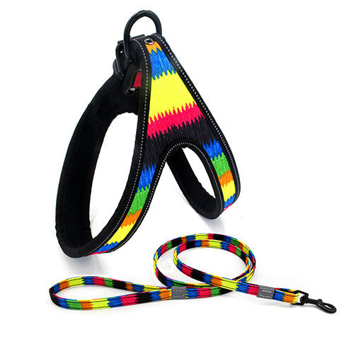 Fantastic Colorful Dog Leash Dog walking Rope - My Store