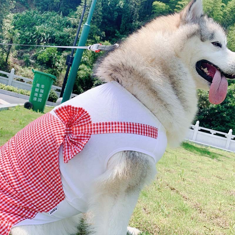 Elegant Princess Costume for Large Dogs: Labrador & Golden Retriever - My Store