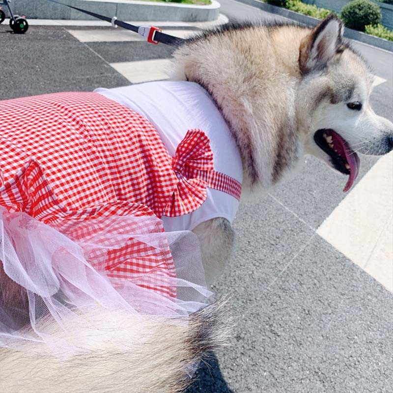 Elegant Princess Costume for Large Dogs: Labrador & Golden Retriever - My Store