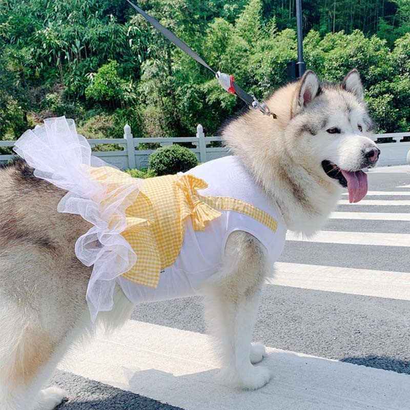Elegant Princess Costume for Large Dogs: Labrador & Golden Retriever - My Store