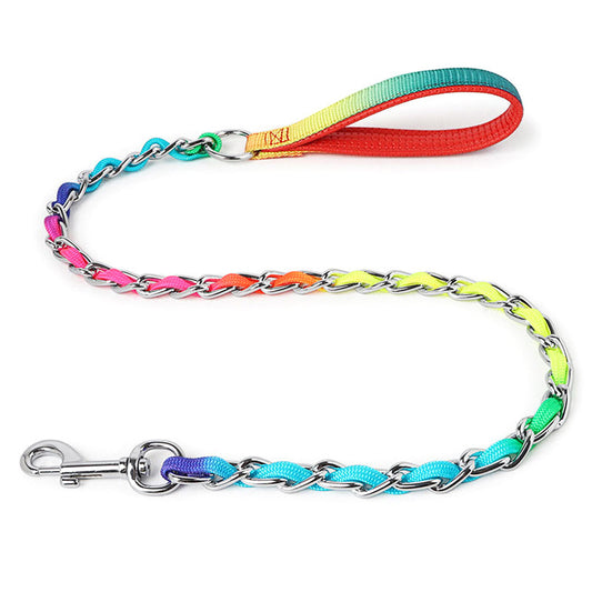 Ulysses Rainbow Chain Leash for Medium Small Dogs: Stylish Metal