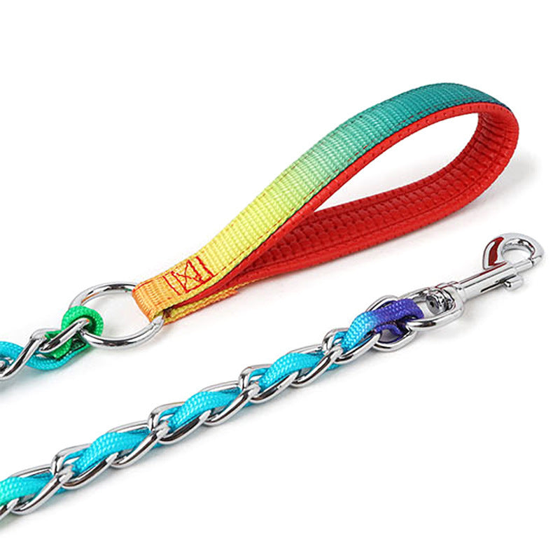 Ulysses Rainbow Chain Leash for Medium Small Dogs: Stylish Metal