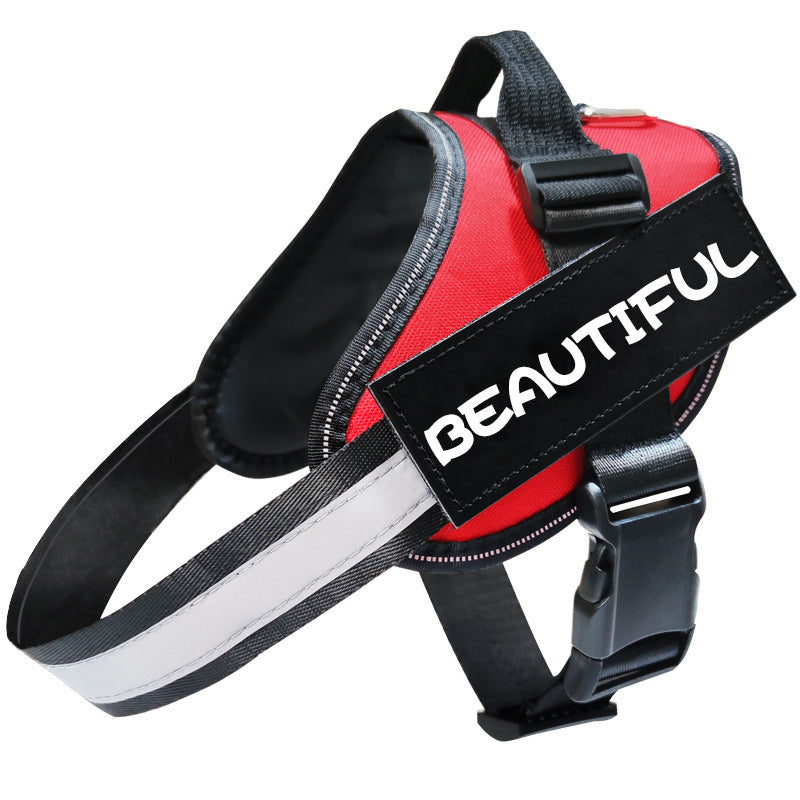 Reflective Dog Leash and Harness: Safety and Comfort Combined