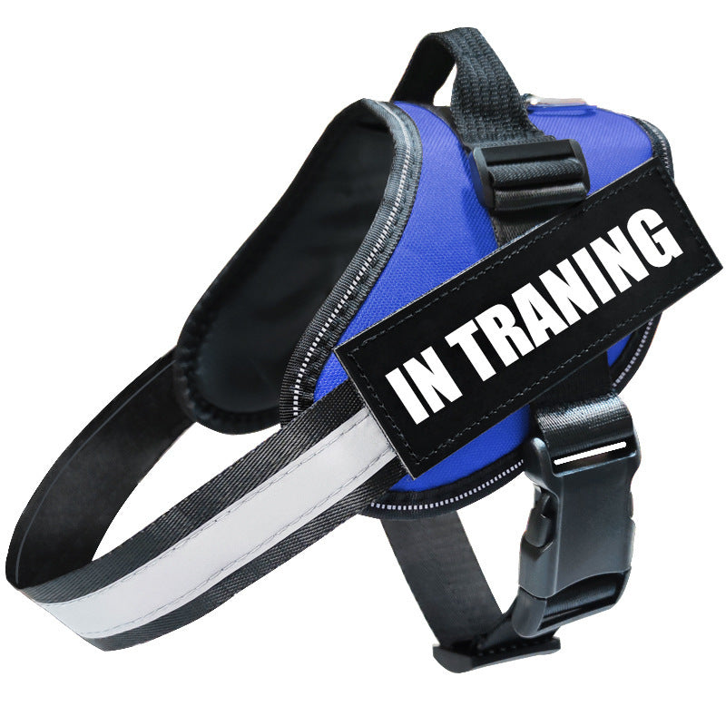Reflective Dog Leash and Harness: Safety and Comfort Combined