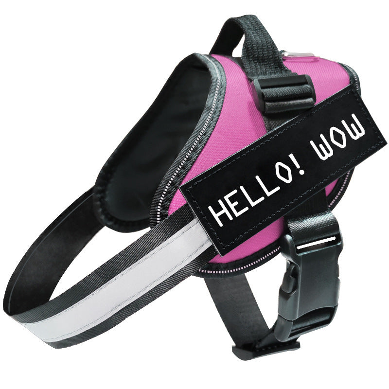 Reflective Dog Leash and Harness: Safety and Comfort Combined