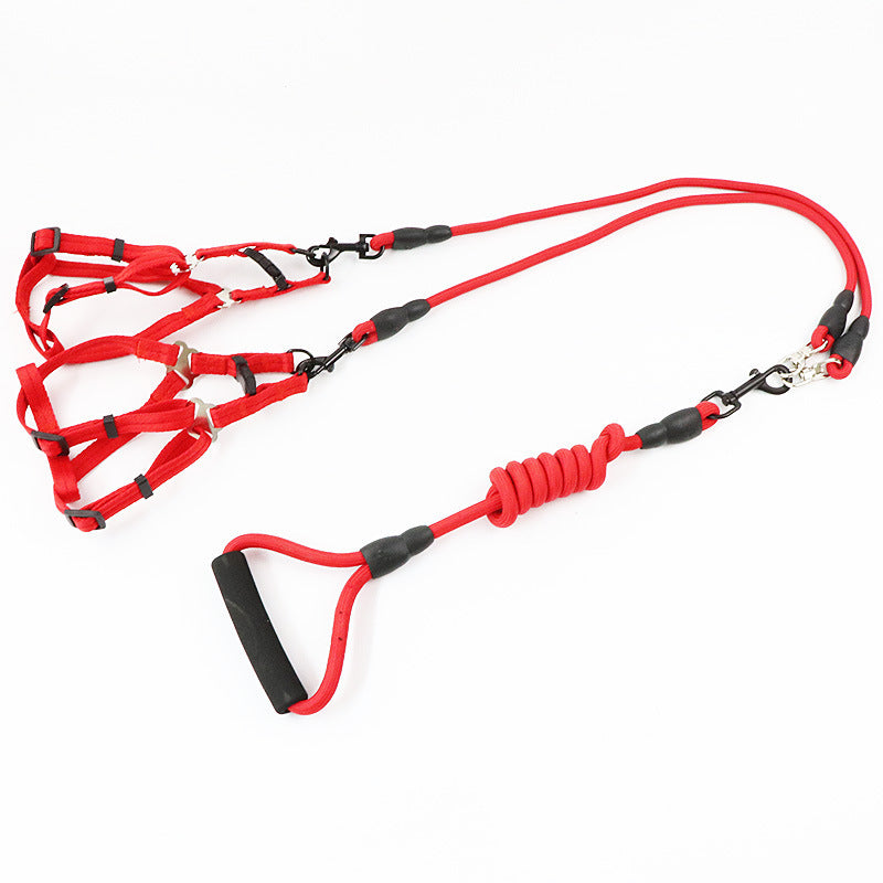 Ultimate Dog Leash: Teddy Two-Headed Chain for Three Dogs