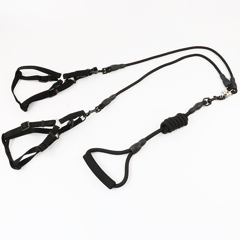 Ultimate Dog Leash: Teddy Two-Headed Chain for Three Dogs