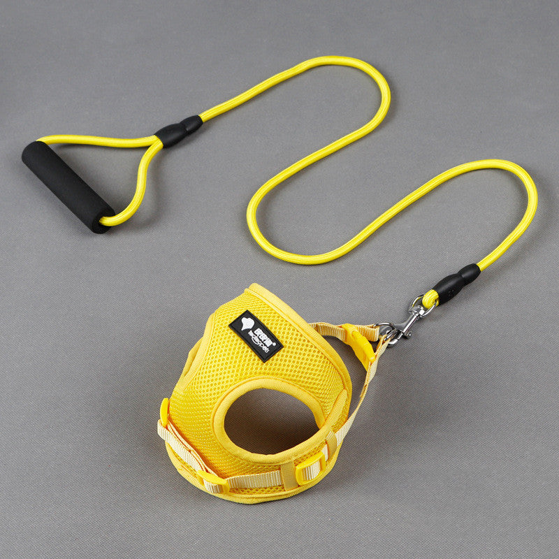 Ultimate Guide: Dog Leash, Collar, and Harness for Perfect Walks - My Store