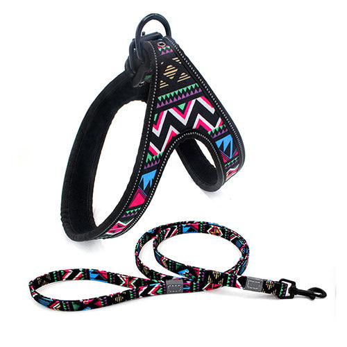 Fantastic Colorful Dog Leash Dog walking Rope - My Store
