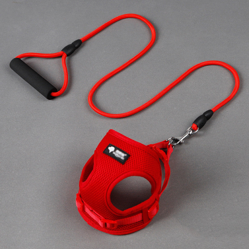 Ultimate Guide: Dog Leash, Collar, and Harness for Perfect Walks - My Store