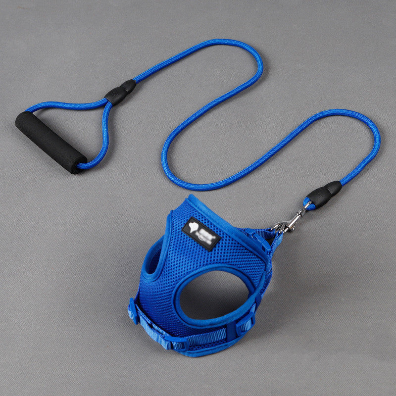 Ultimate Guide: Dog Leash, Collar, and Harness for Perfect Walks - My Store