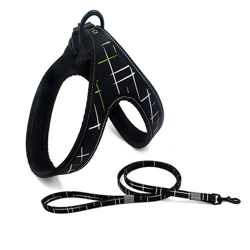 Fantastic Colorful Dog Leash Dog walking Rope - My Store