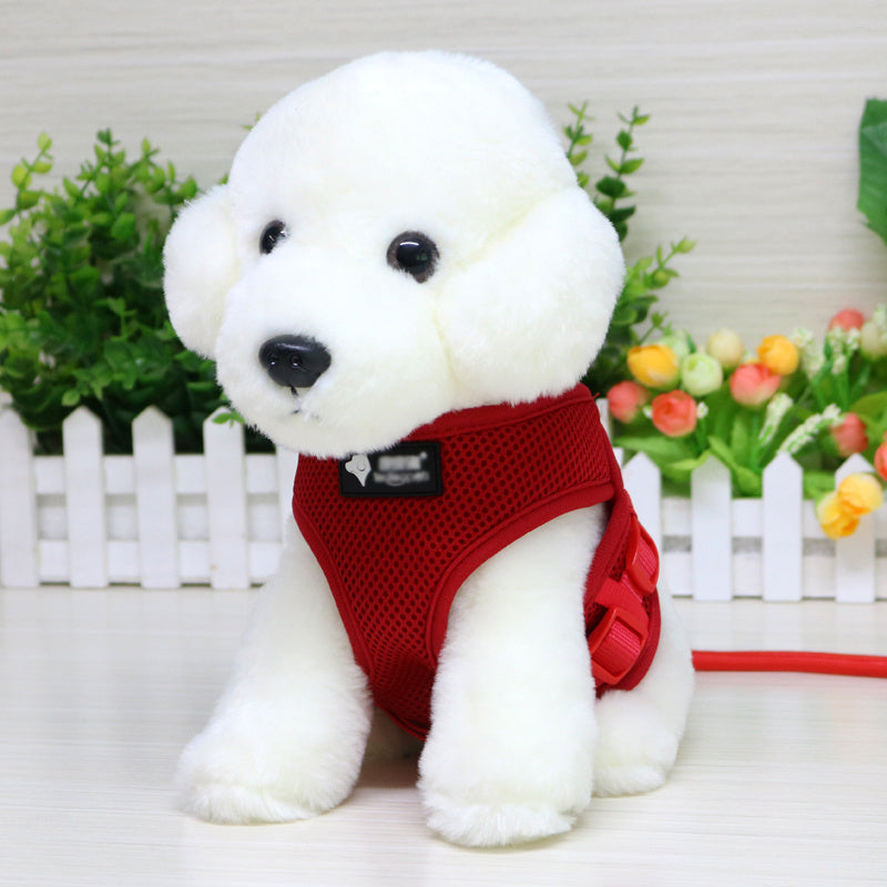 Ultimate Guide: Dog Leash, Collar, and Harness for Perfect Walks - My Store
