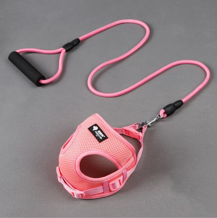 Ultimate Guide: Dog Leash, Collar, and Harness for Perfect Walks - My Store