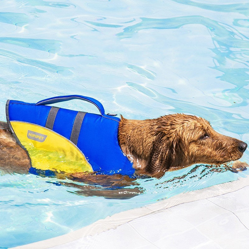 Versatile Pet Life Jacket: Swim Safe for Small, Medium, Large Dogs - My Store
