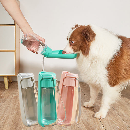 Portable Folding Dog Water Bottle - 550ml Large Capacity - My Store